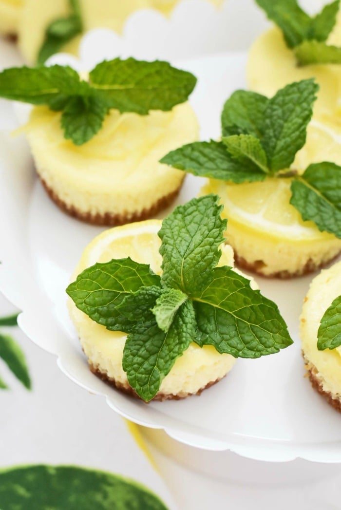 Mini cheesecakes with mint and lemon